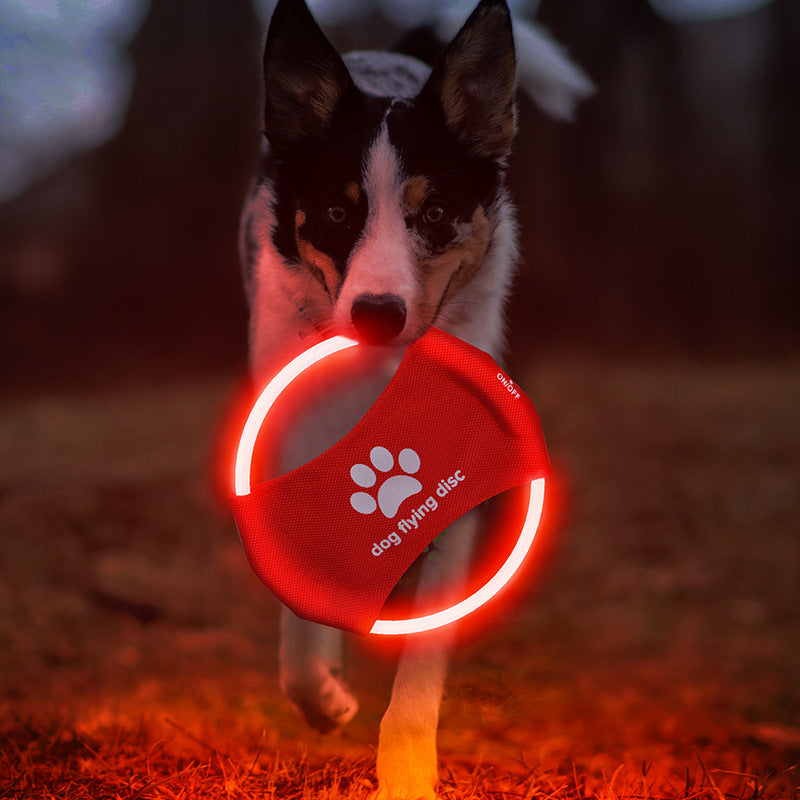 LED Glow Dog Frisbee ? Rechargeable Flying Disc for Interactive Night Play & Outdoor Fetch