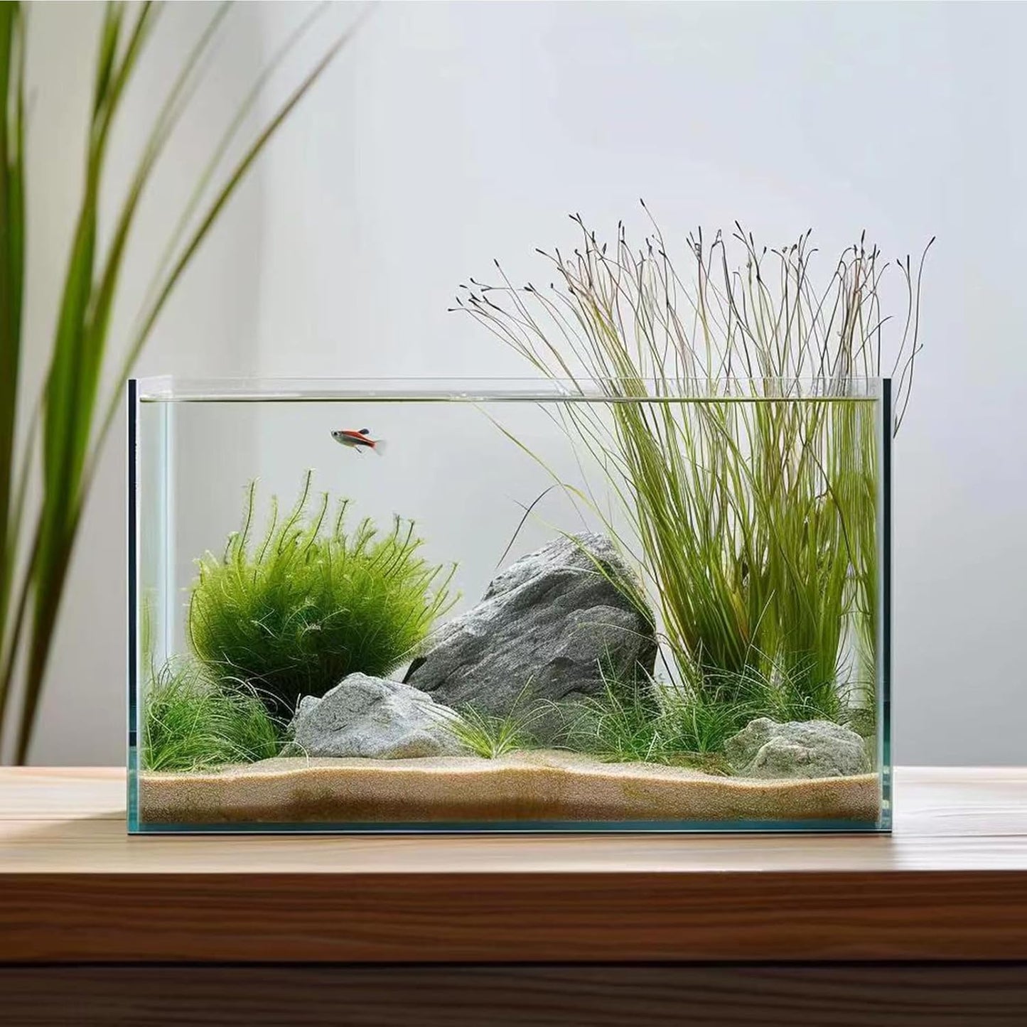 5 Gallon Glass Aquarium Tank for Betta Fish, Shrimp, Snails & Aquatic Plants