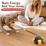 Interactive Tug of War Dog Toy – Heavy-Duty Suction Cup for Medium & Large Dogs (Black & Orange)