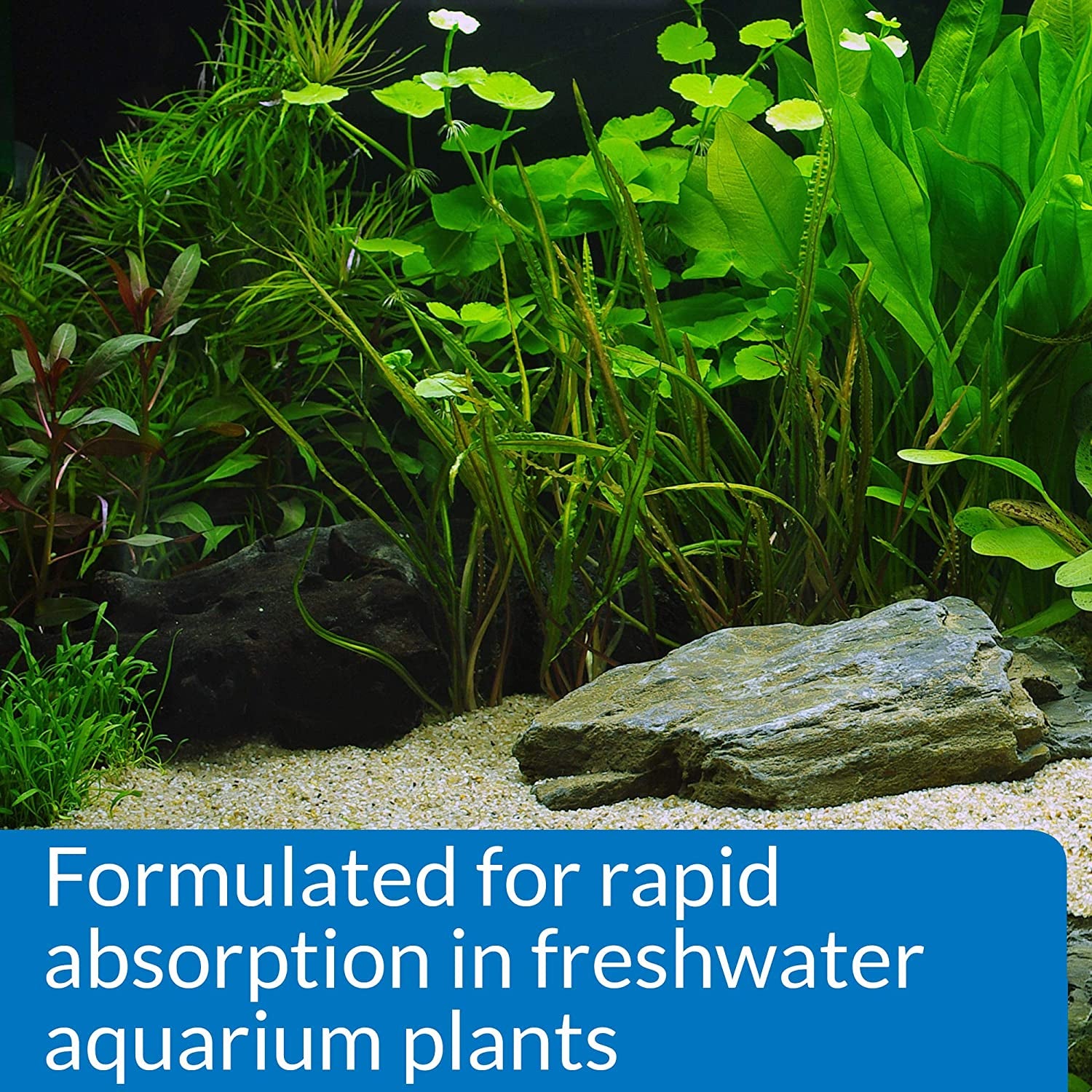 API LEAF ZONE Freshwater Aquarium Plant Fertilizer – 16 oz