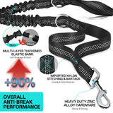 Hands-Free Double Dog Leash for 2 Dogs: Heavy-Duty Shock-Absorbing Bungee, Adjustable Waist Belt – Perfect for Running, Hiking & Daily Walks (Medium & Large Dogs)