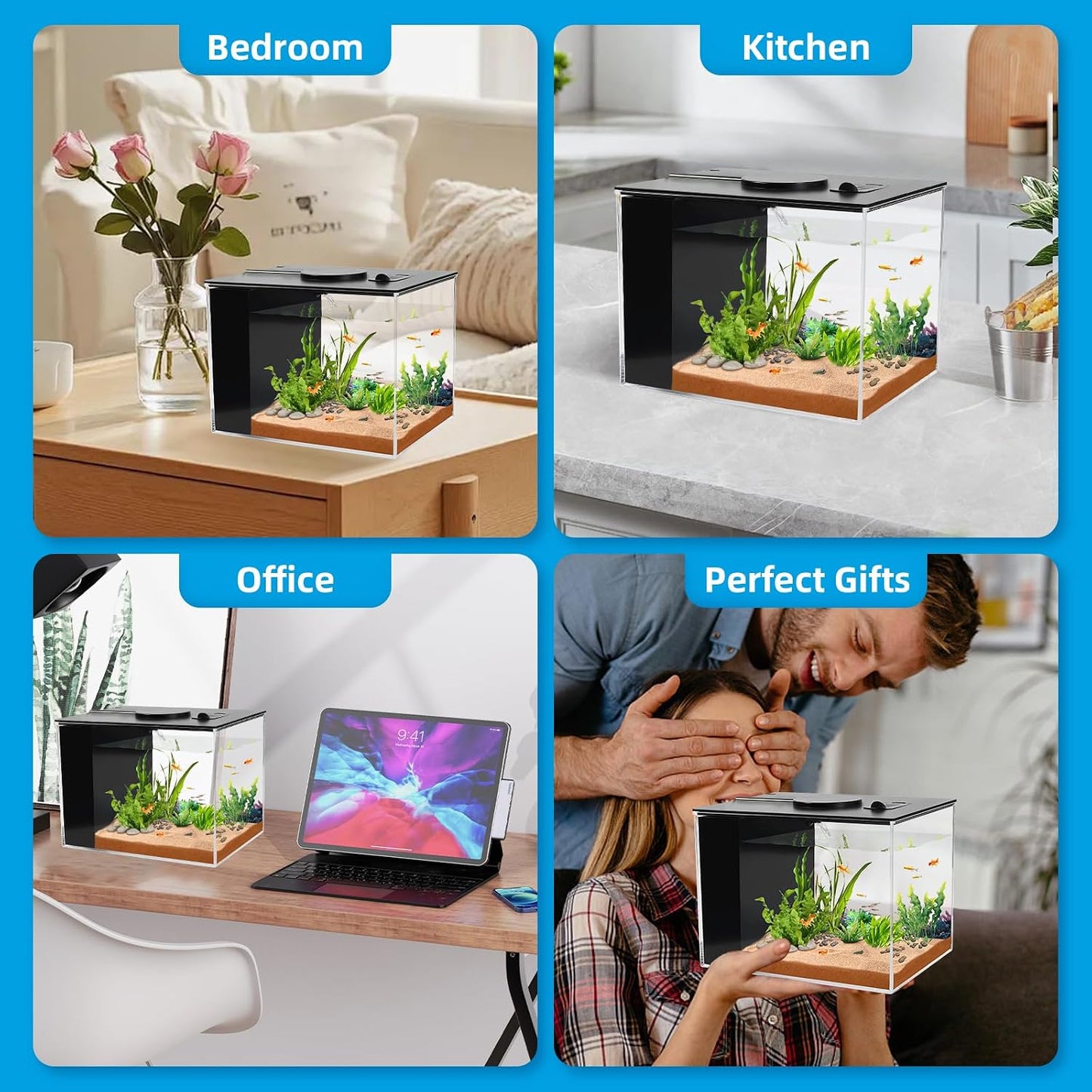 1 Gallon Betta Fish Tank with LED Light & Water Filter – Small Aquarium Kit