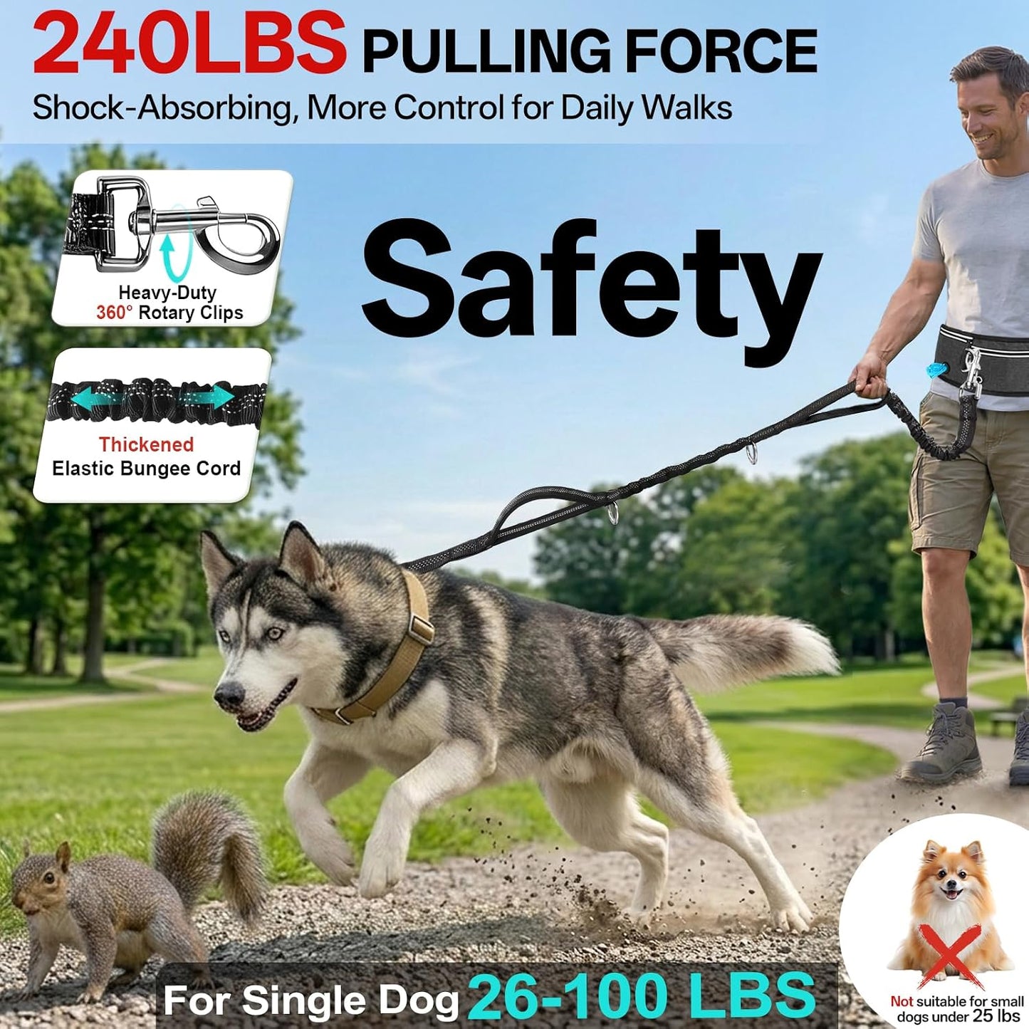 Hands-Free Double Dog Leash for 2 Dogs: Heavy-Duty Shock-Absorbing Bungee, Adjustable Waist Belt – Perfect for Running, Hiking & Daily Walks (Medium & Large Dogs)