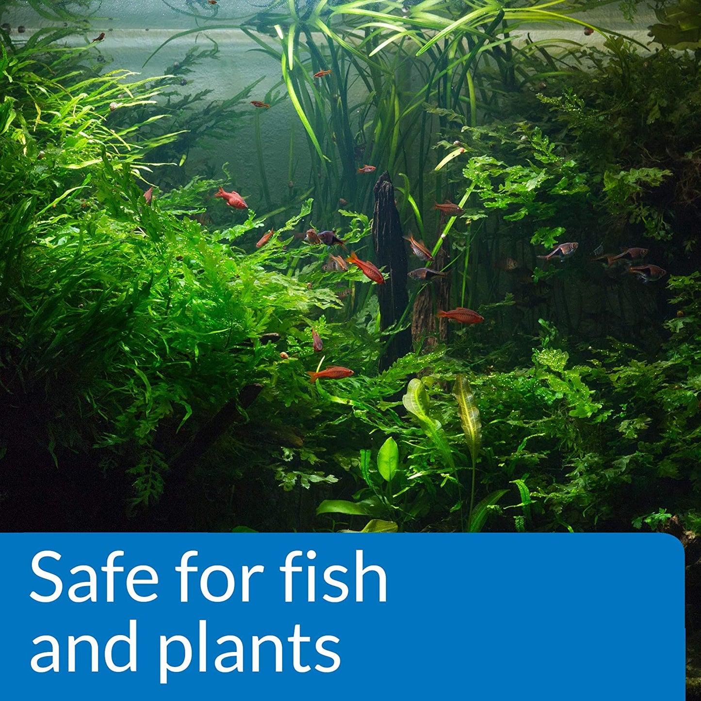 Aquarium pH Up Solution for Freshwater Tanks – 16 oz