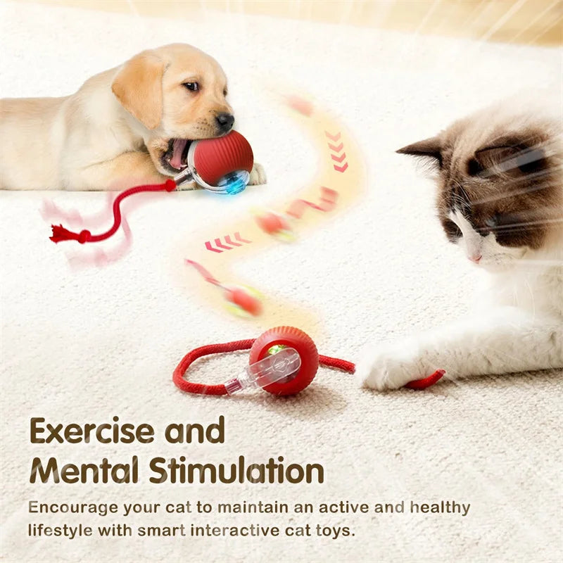 Interactive Cat Toy Ball Automatic Rolling Rechargeable, Anti-Anxiety Electric Teasing Toys for Cats