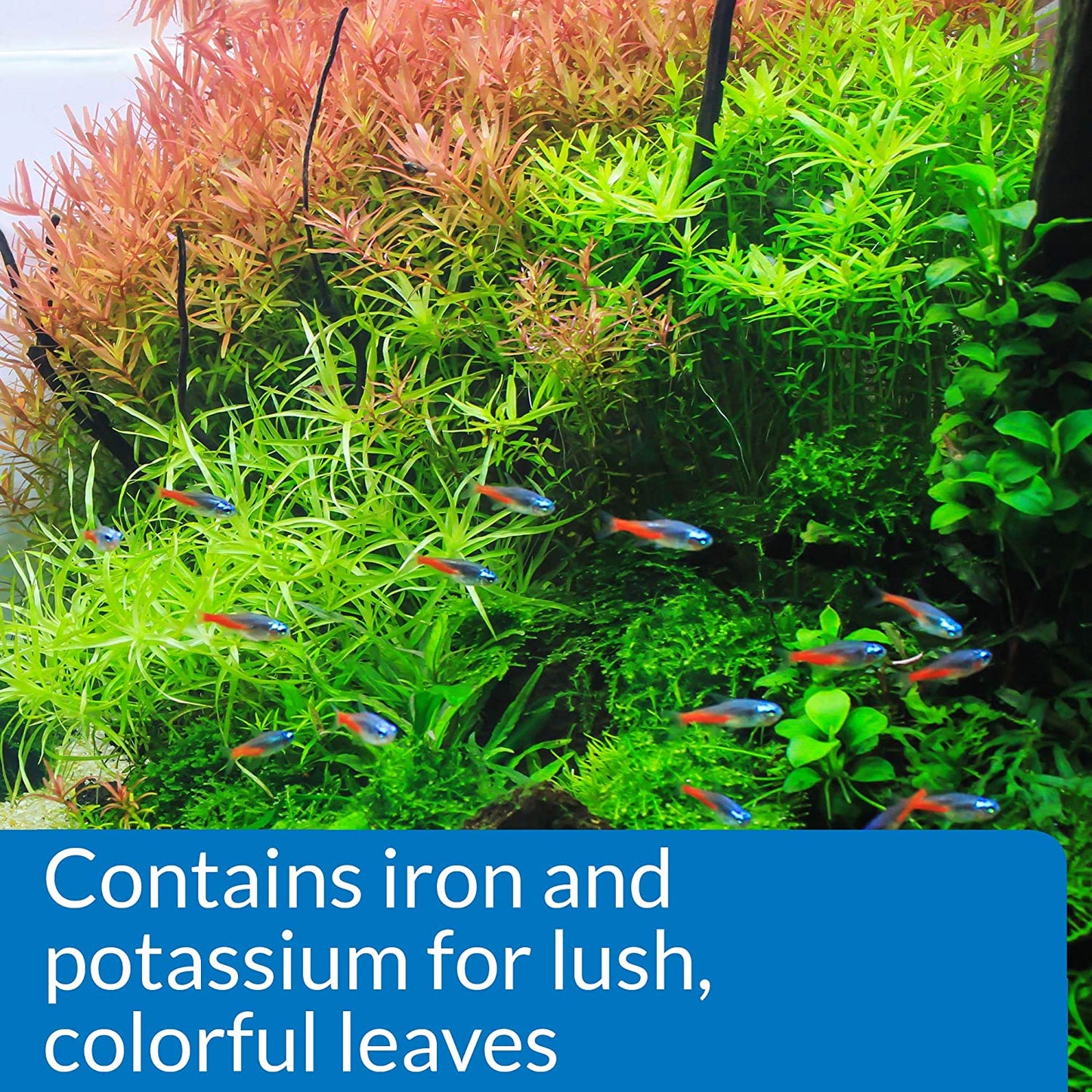 API LEAF ZONE Freshwater Aquarium Plant Fertilizer – 16 oz