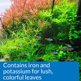 API LEAF ZONE Freshwater Aquarium Plant Fertilizer – 16 oz