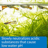 Aquarium pH Up Solution for Freshwater Tanks – 16 oz