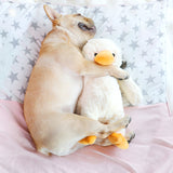 Interactive Plush Goose Dog Toy Set