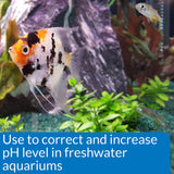 Aquarium pH Up Solution for Freshwater Tanks – 16 oz