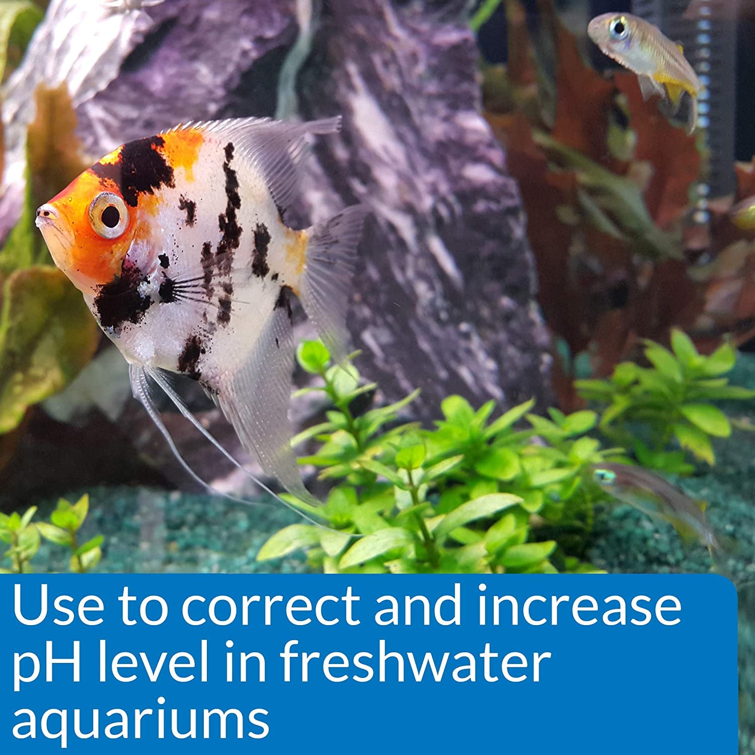 Aquarium pH Up Solution for Freshwater Tanks – 16 oz