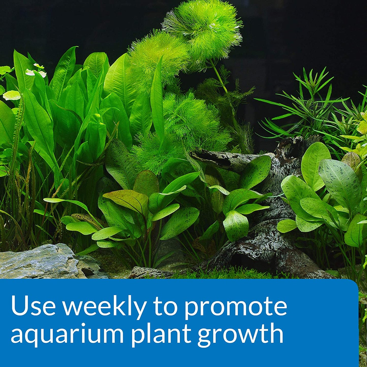 API LEAF ZONE Freshwater Aquarium Plant Fertilizer – 16 oz